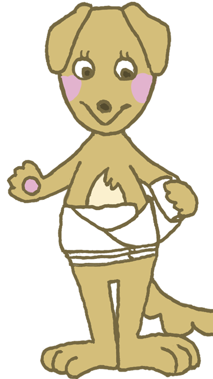 腹帯（岩田帯）の巻き方③